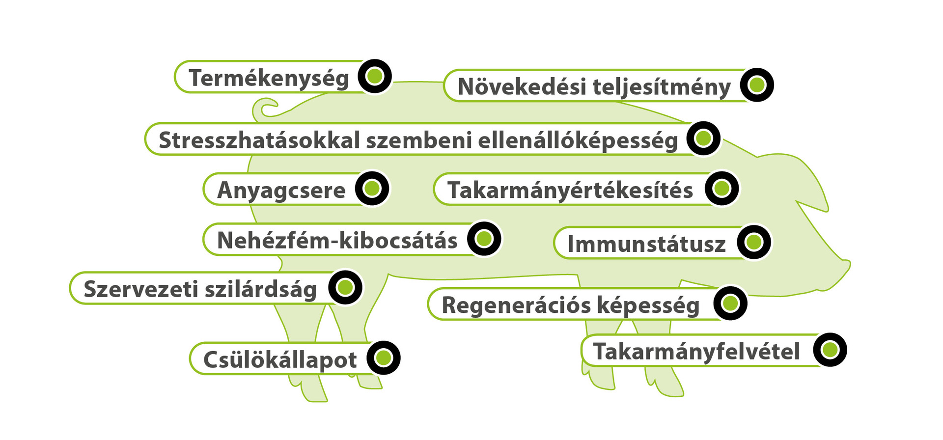Főbb hatások Főbb hatások