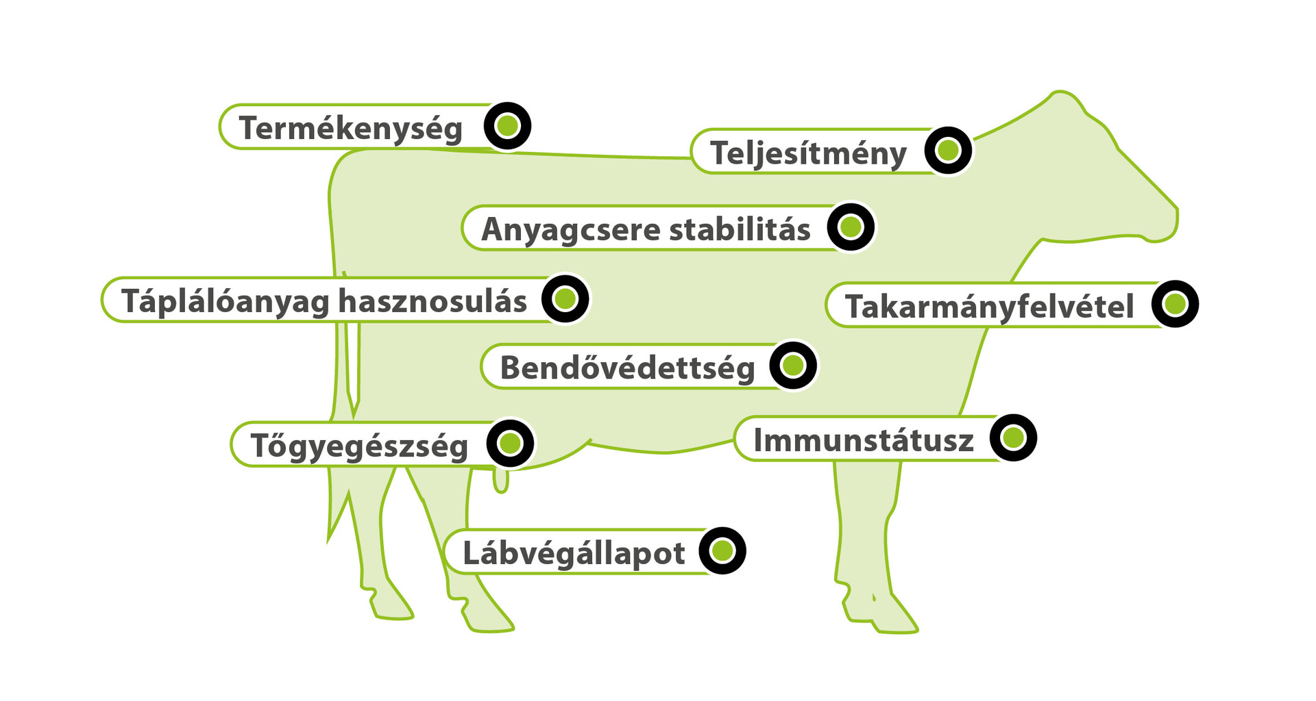 AMINOTRACE AMINOTRACE